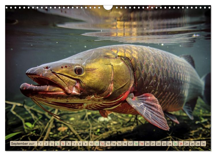 Produktbild: Gro&szlig;tiere - Weltweit (Wandkalender 2027 DIN A3 quer), CALVENDO Monatskalender