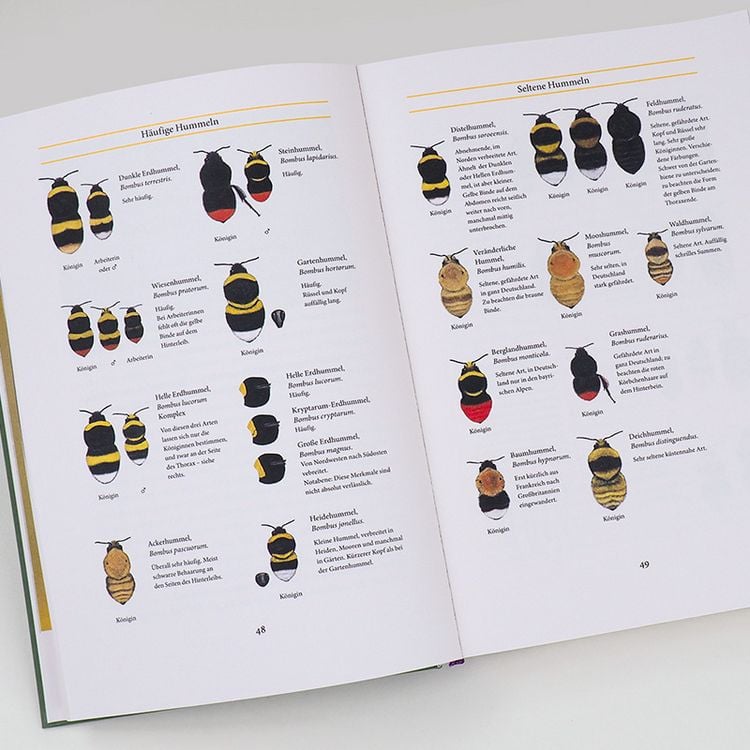 Produktbild: Bienenweide und Hummelparadies