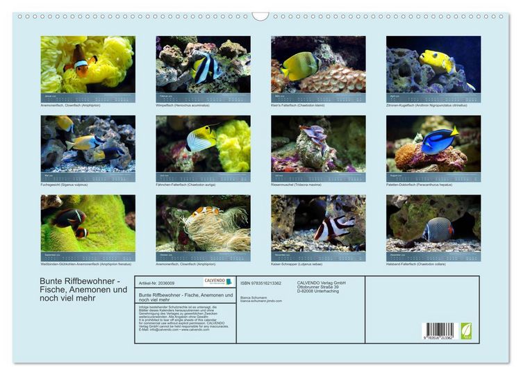 Produktbild: Bunte Riffbewohner - Fische, Anemonen und noch viel mehr (Wandkalender 2026 DIN A2 quer), CALVENDO Monatskalender