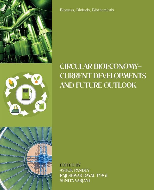 Produktbild: Biomass, Biofuels, Biochemicals