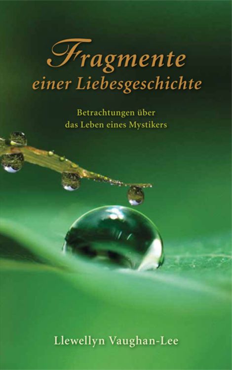 Produktbild: Fragmente einer Liebesgeschichte
