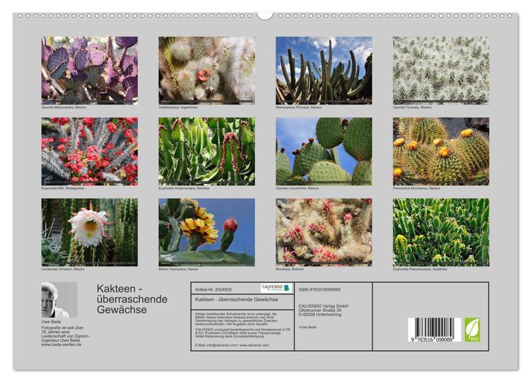 Produktbild: Kakteen - &uuml;berraschende Gew&auml;chse (hochwertiger Premium Wandkalender 2026 DIN A2 quer), Kunstdruck in Hochglanz