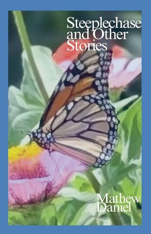 Produktbild: Steeplechase and Other Stories
