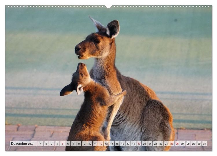 Produktbild: Australien - "Nur wo Du zu Fu&szlig; warst, bist Du wirklich gewesen" (hochwertiger Premium Wandkalender 2027 DIN A2 quer), Kunstdruck in Hochglanz