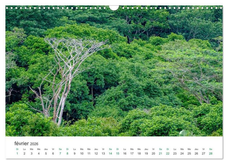 Produktbild: Magnifique &icirc;le Maurice (Calendrier mural 2026 DIN A3 vertical), CALVENDO calendrier mensuel