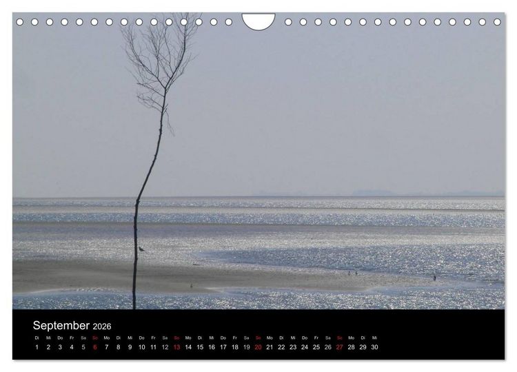 Produktbild: Wunderbare Nordsee (Wandkalender 2026 DIN A4 quer), CALVENDO Monatskalender