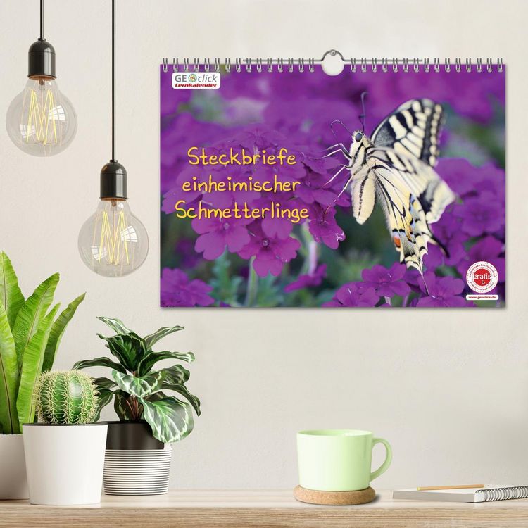 Produktbild: GEOclick Lernkalender: Steckbriefe einheimischer Schmetterlinge (Wandkalender 2026 DIN A4 quer), CALVENDO Monatskalender