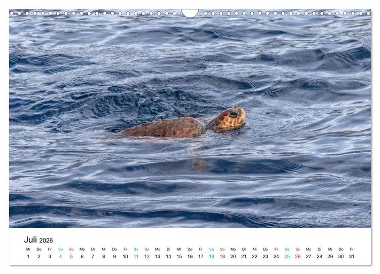 Produktbild: La Palma - La Isla Bonita, die Sch&ouml;nste der Kanaren (Wandkalender 2026 DIN A3 quer), CALVENDO Monatskalender