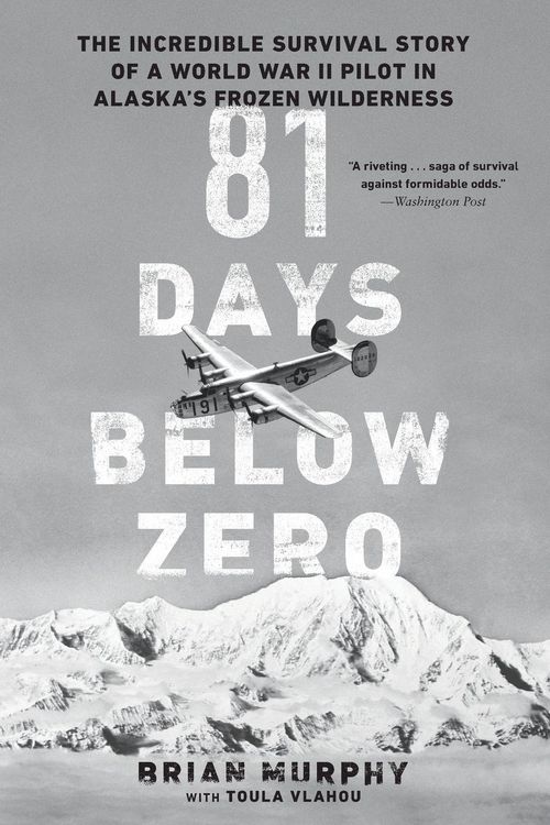 Produktbild: 81 Days Below Zero