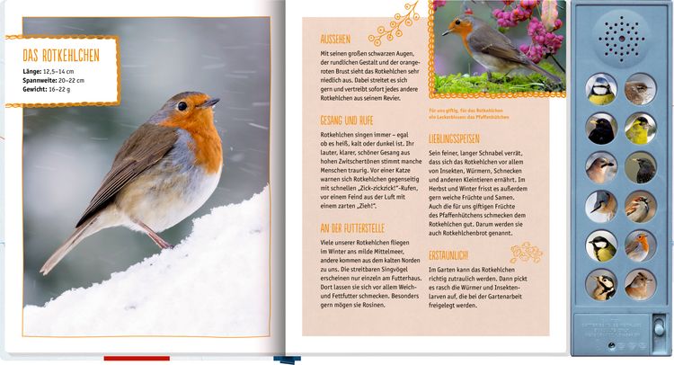 Produktbild: V&ouml;gel im Winter bei dir zu Gast