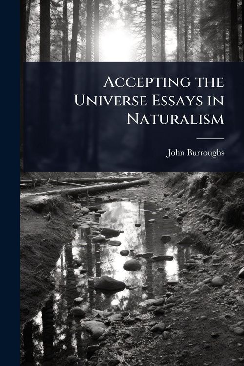 Produktbild: Accepting the Universe Essays in Naturalism