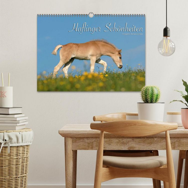 Produktbild: Haflinger Sch&ouml;nheiten (Wandkalender 2026 DIN A3 quer), CALVENDO Monatskalender