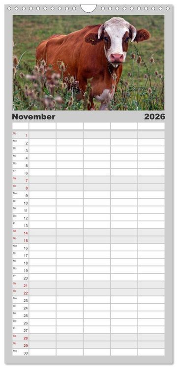 Produktbild: Familienplaner 2026 - Kuh und Co. mit 5 Spalten (Wandkalender, 21 x 45 cm) CALVENDO