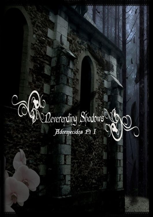 Produktbild: Neverending Shadows