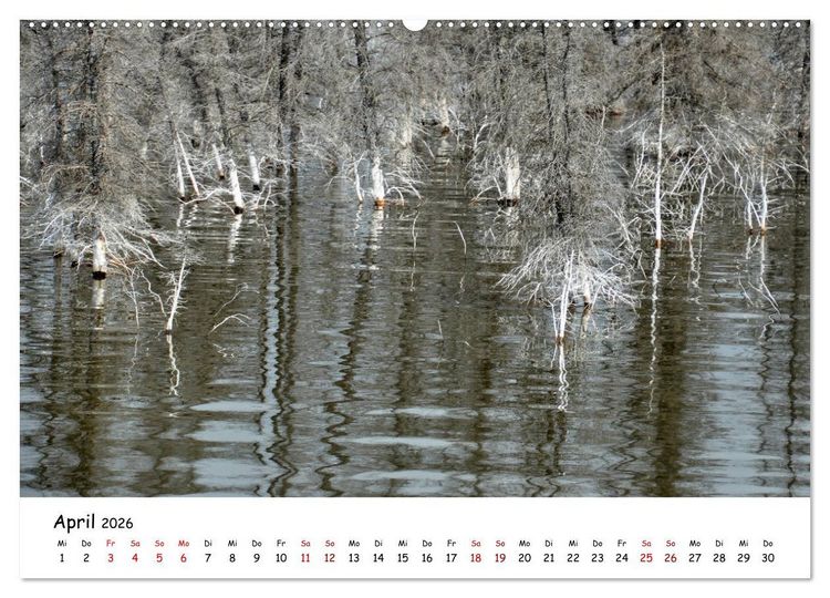 Produktbild: Unendlichkeit in Alaska und Yukon (Wandkalender 2026 DIN A2 quer), CALVENDO Monatskalender
