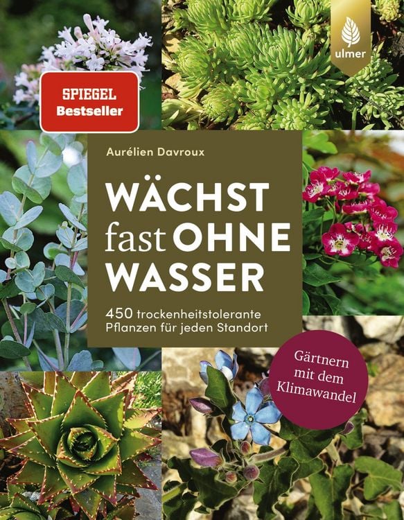 Produktbild: W&auml;chst fast ohne Wasser