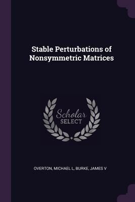 Produktbild: Stable Perturbations of Nonsymmetric Matrices