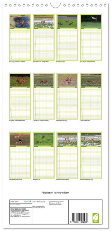 Produktbild: Familienplaner 2027 - Feldhasen in H&ouml;chstform mit 5 Spalten (Wandkalender, 21 x 45 cm) CALVENDO