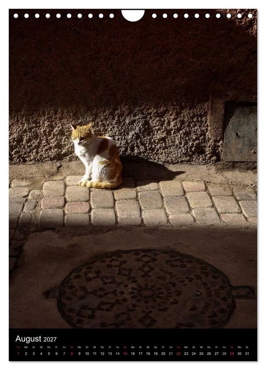 Produktbild: Katzen in Marokko (Wandkalender 2027 DIN A4 hoch), CALVENDO Monatskalender