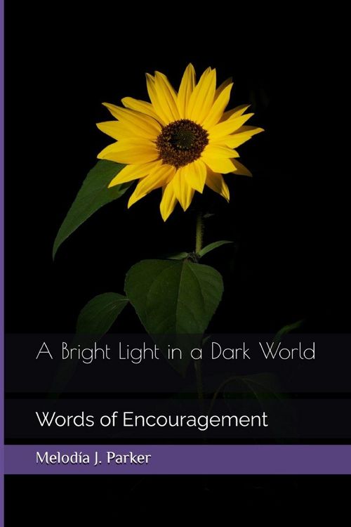 Produktbild: A Bright Light in a Dark World