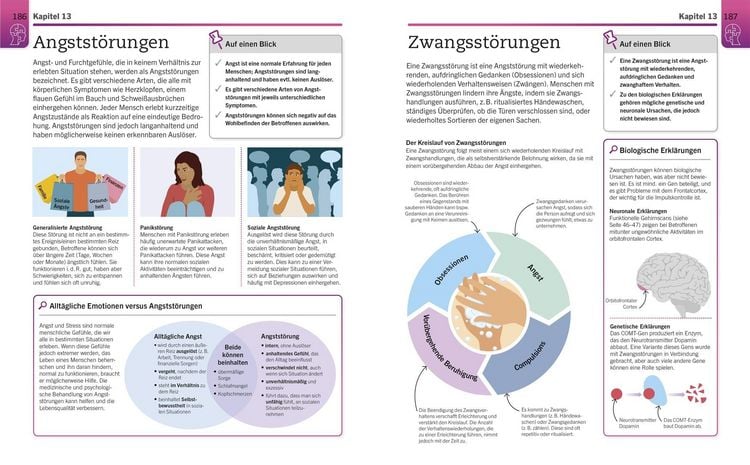 Produktbild: Visuelles Wissen. Psychologie