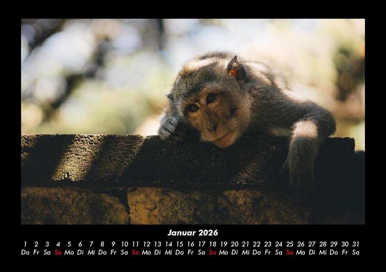 Produktbild: Der Tierkalender 2026 Fotokalender DIN A3