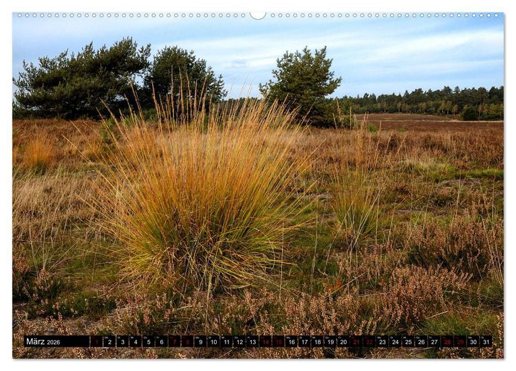 Produktbild: L&uuml;neburger Heide (hochwertiger Premium Wandkalender 2026 DIN A2 quer), Kunstdruck in Hochglanz