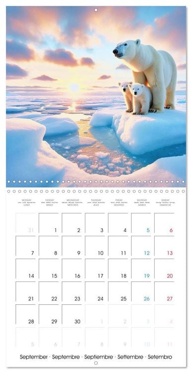 Produktbild: Animals of Arctic (Wall Calendar 2026 12 &times; 12 Inch) CALVENDO 12 Month Wall Calendar