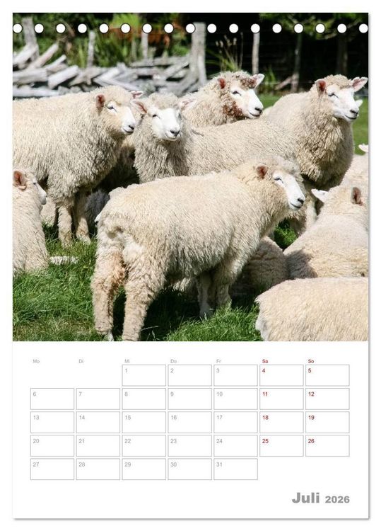 Produktbild: Kalenderplaner g'day Neuseeland 2026 (Tischkalender 2026 DIN A5 hoch), CALVENDO Monatskalender