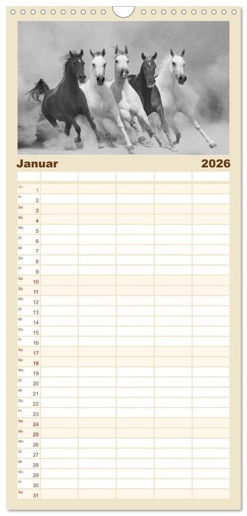 Produktbild: Familienplaner 2026 - Arabische Pferde mit 5 Spalten (Wandkalender, 21 x 45 cm) CALVENDO