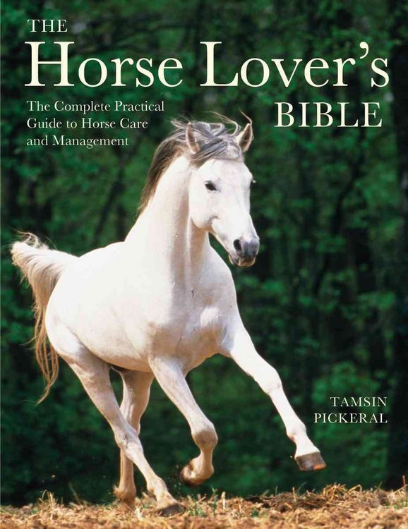 Produktbild: The Horse Lover's Bible