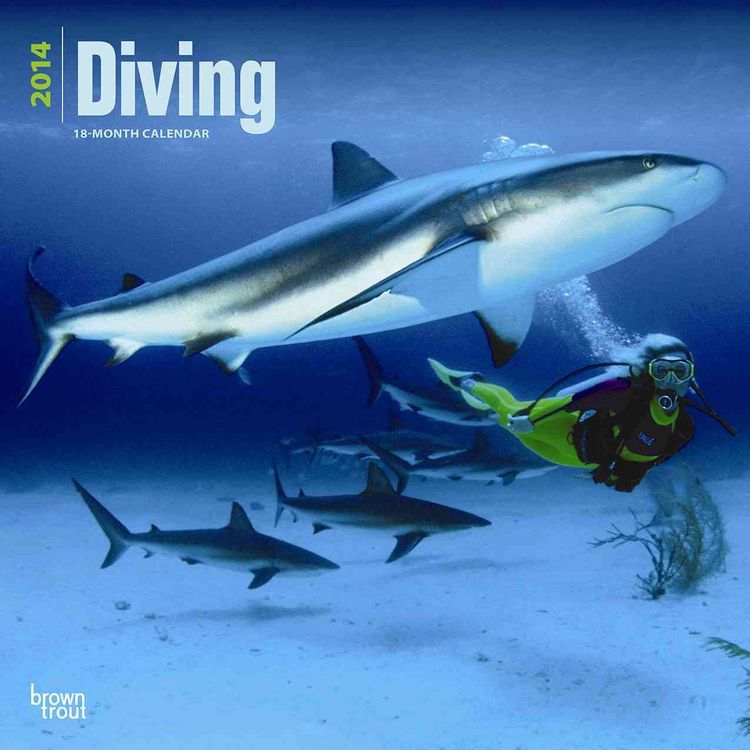Produktbild: Diving 2014 - Tauchen
