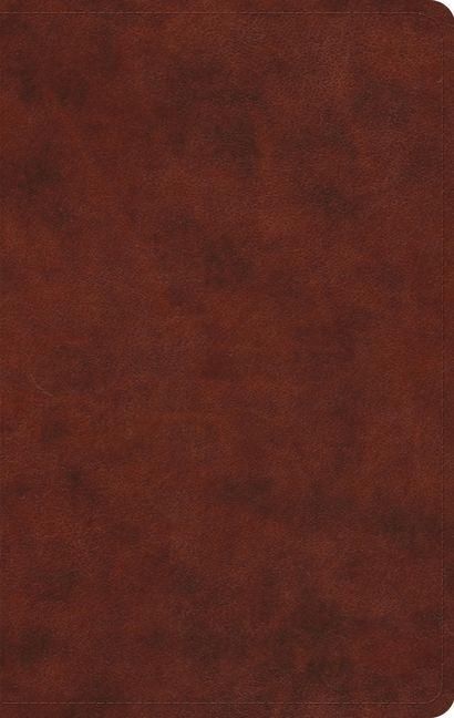 Produktbild: ESV Large Print Value Thinline Bible