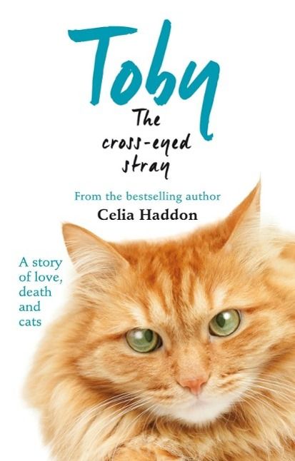 Produktbild: Toby The Cross-Eyed Stray