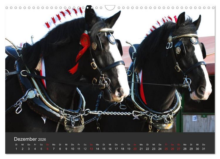 Produktbild: Shire Horse &bull; Prunkvolle Giganten (Wandkalender 2026 DIN A3 quer), CALVENDO Monatskalender