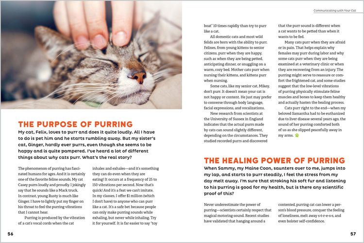 Produktbild: The Cat Behavior Answer Book, 2nd Edition