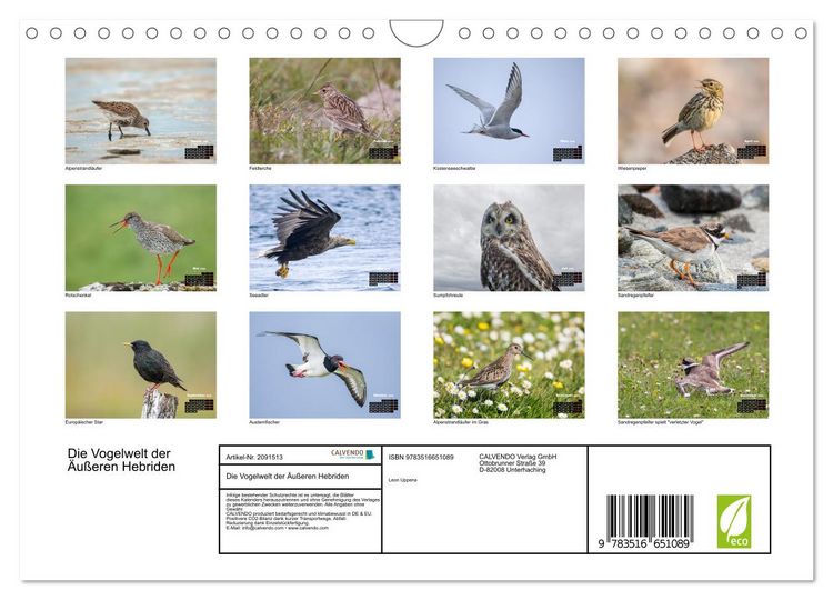 Produktbild: Die Vogelwelt der &Auml;u&szlig;eren Hebriden (Wandkalender 2026 DIN A4 quer), CALVENDO Monatskalender