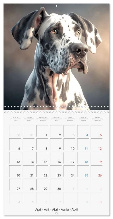 Produktbild: Portraits de grands chiens (Calendrier mural carr&eacute; 2026 30x30 cm) Calendrier double avec une page pour vos prises de notes