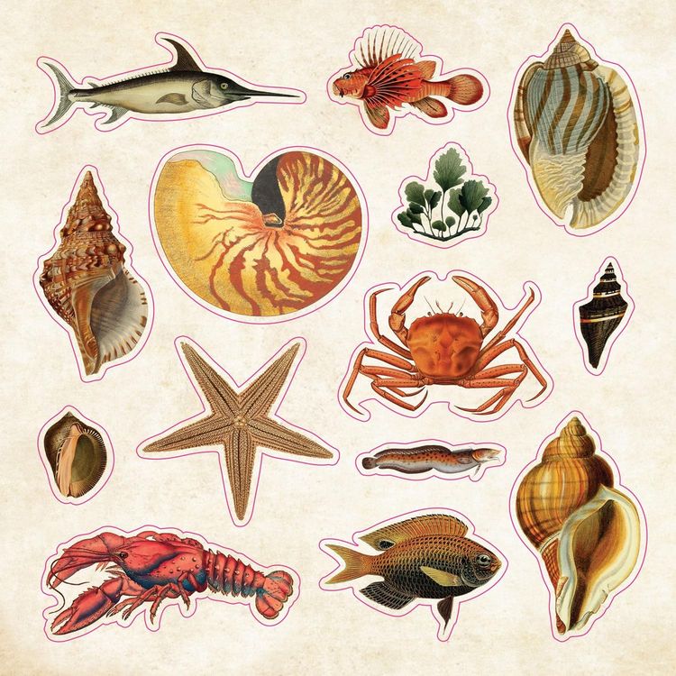Produktbild: The Sticker Book of Curiosities (Over 750 Stickers)