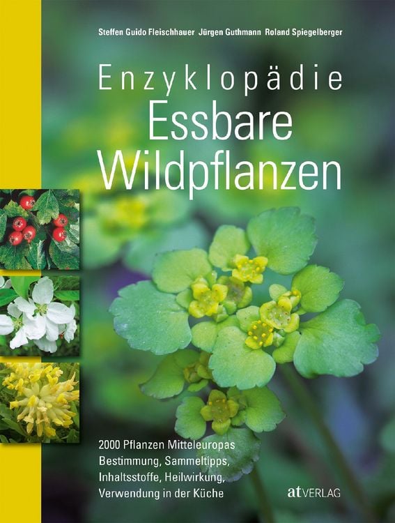 Produktbild: Enzyklop&auml;die Essbare Wildpflanzen