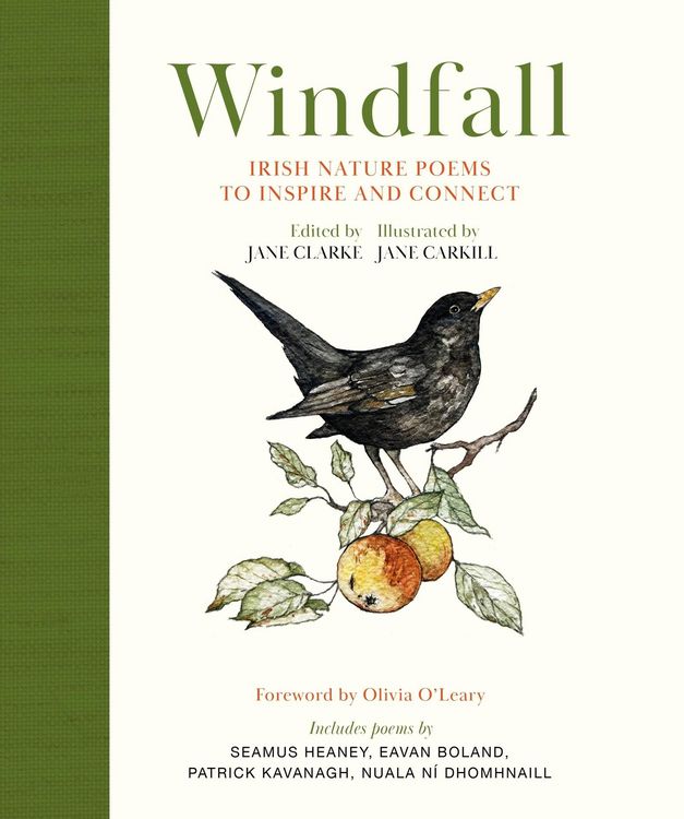 Produktbild: Windfall
