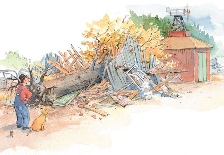 Produktbild: Willy Werkel baut ein Haus