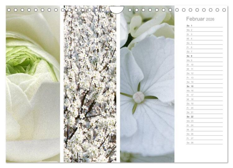 Produktbild: Nat&uuml;rlicher Dreiklang (Wandkalender 2026 DIN A4 quer), CALVENDO Monatskalender