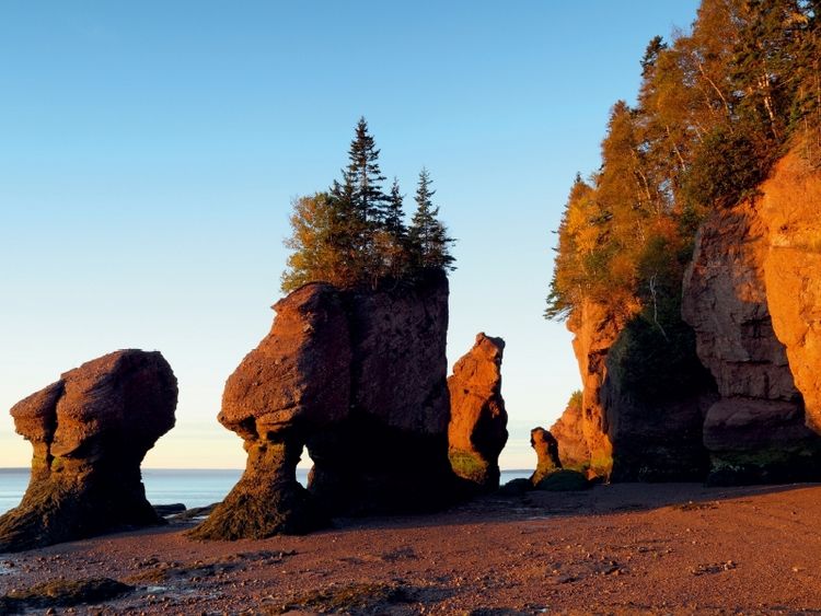 Produktbild: CALVENDO Puzzle Hopewell Rocks, Bay of Fundy | 1000 Teile Lege-Gr&ouml;&szlig;e 64x48cm Foto-Puzzle f&uuml;r gl&uuml;ckliche Stunden