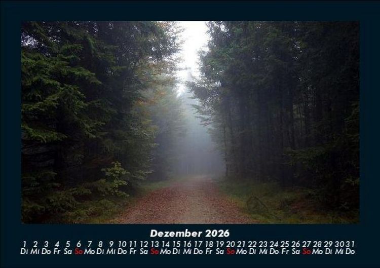 Produktbild: Waldzauber 2026 Fotokalender DIN A5