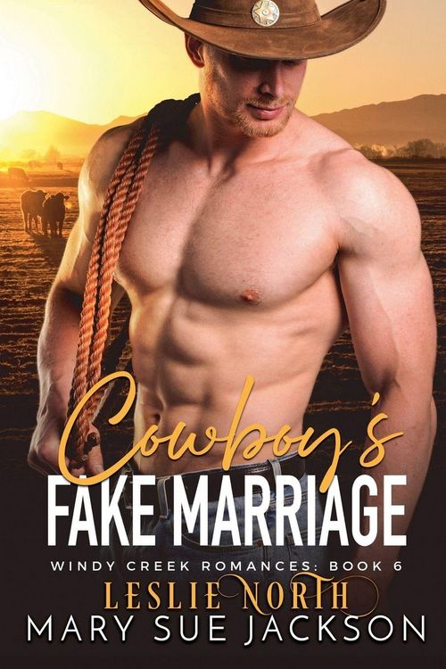 Produktbild: Cowboy's Fake Marriage