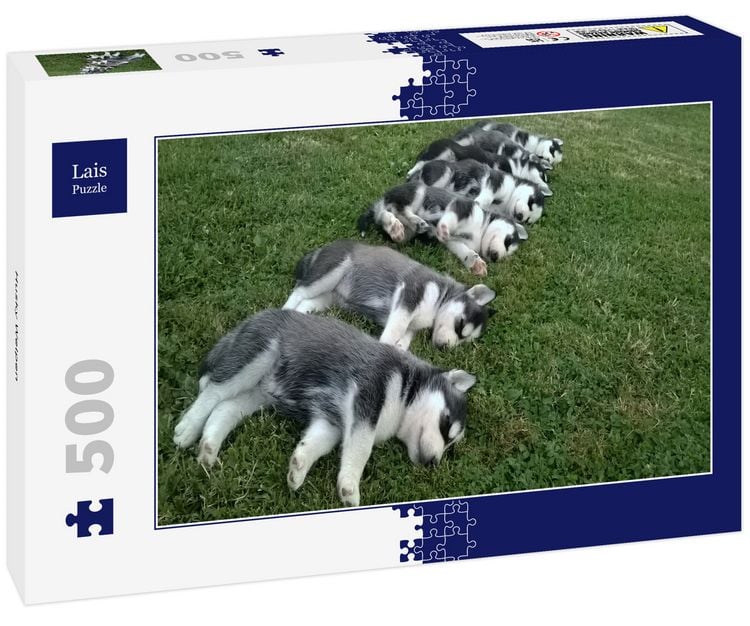 Produktbild: Lais Puzzle Husky Welpen 500 Teile