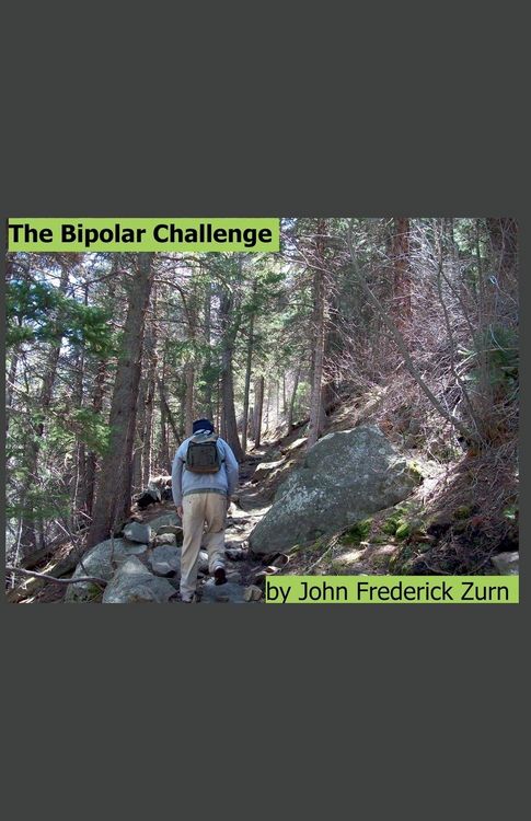 Produktbild: The Bipolar Challenge