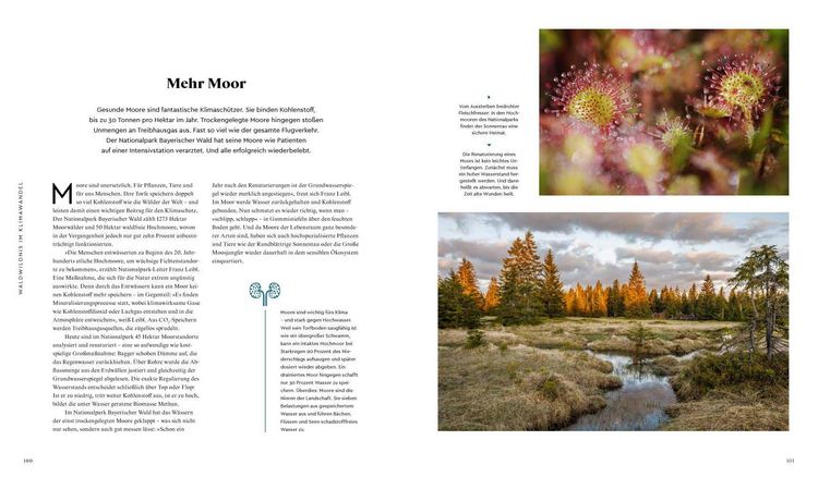 Produktbild: Wilder Wald