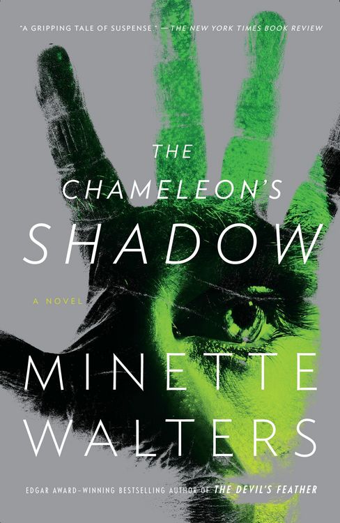 Produktbild: The Chameleon's Shadow